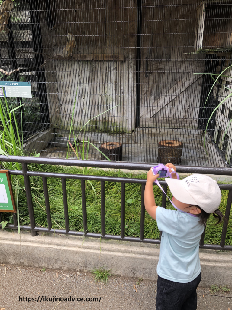 トイカメラ（キッズカメラ）のレビュー写真１