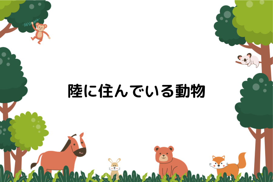 陸に住んでいる動物画像