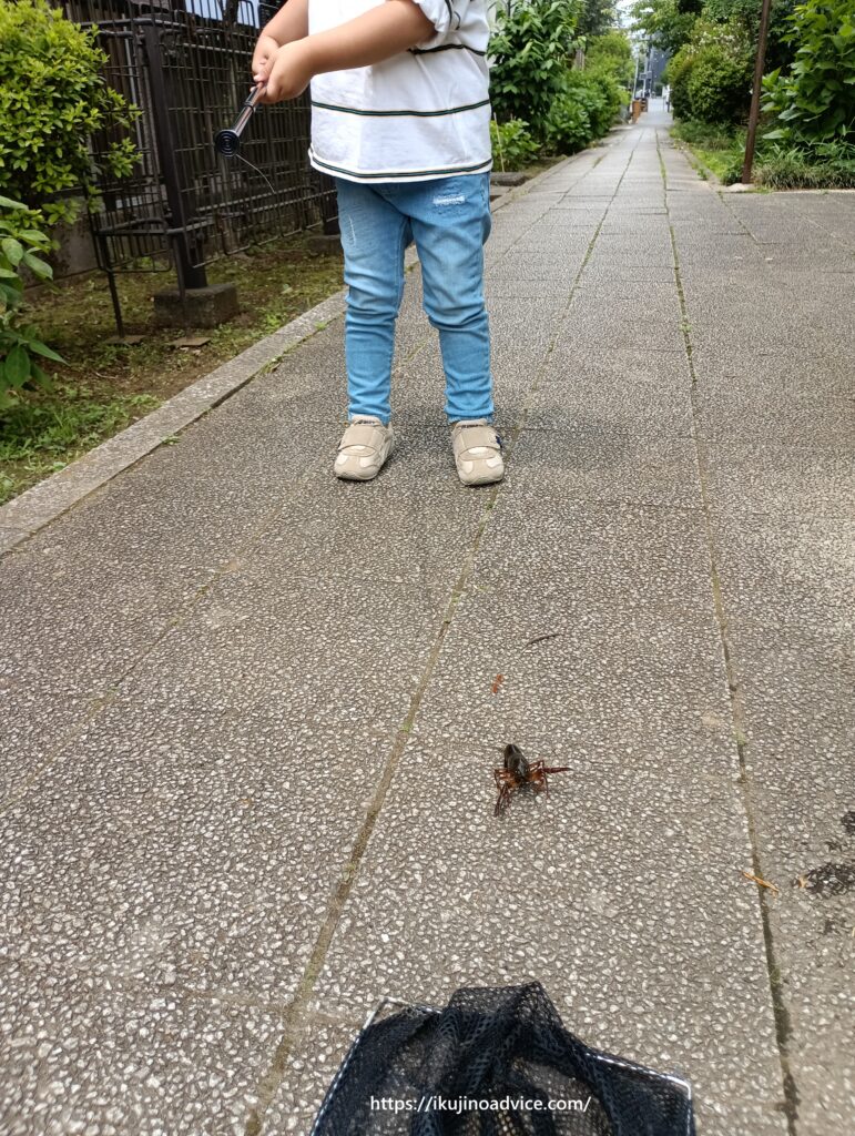 ザリガニ釣り写真1