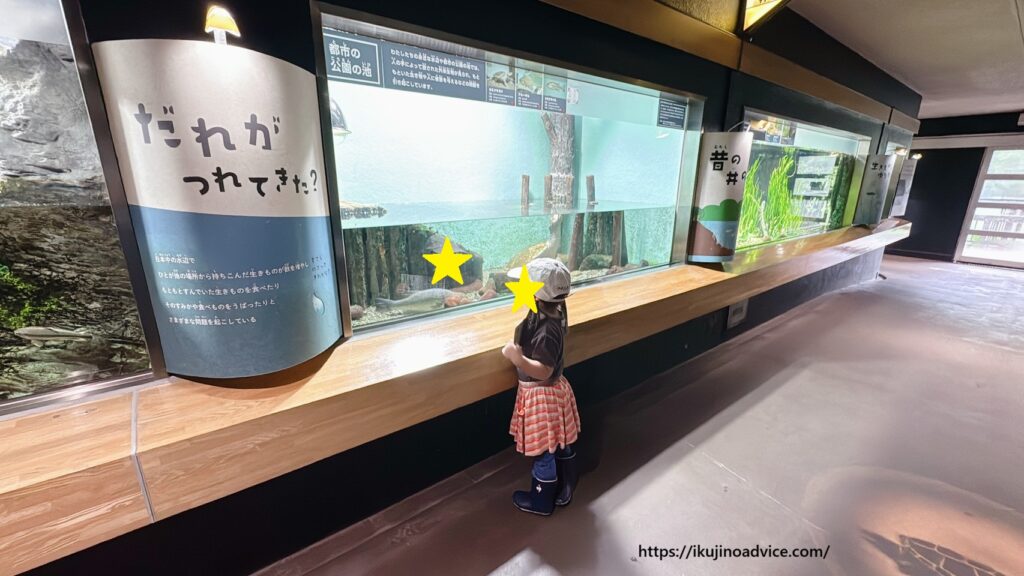 水族館で観察中