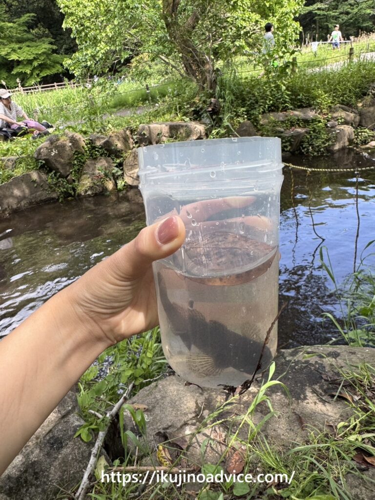 生き物とこどもたちの関わり写真3