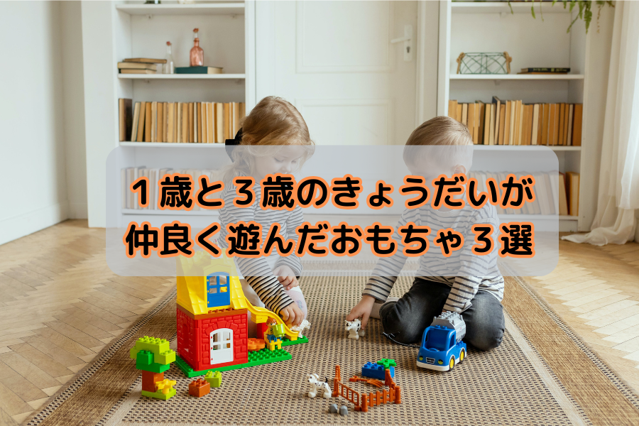 1歳と3歳のきょうだいが仲良く遊んだおもちゃ3選レビュー